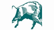 Bison Engineering