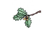 Shrub Oak Engineering Consultants